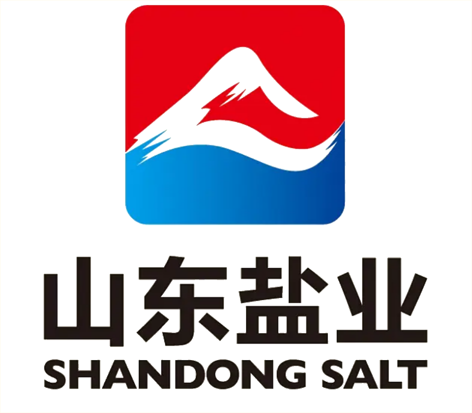 山东盐业